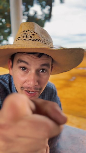 Who's making money? #rancher #farm #cattle #corral #agribusiness