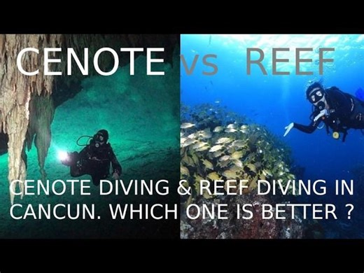 REEF DIVING vs CENOTE DIVING in Cancun.Mexico 🤿 Which One Should You Choose? | Scuba Total