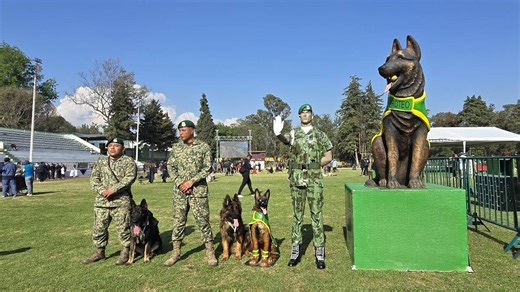Por qué se le llama binomio canino - UnoTV