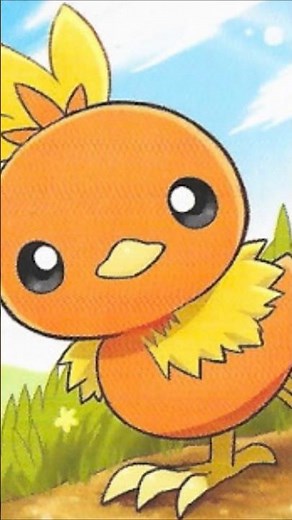 Why Torchic Beats Every Fire Starter!