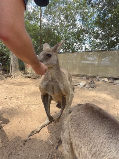 Cristina Scabbia on Reels
