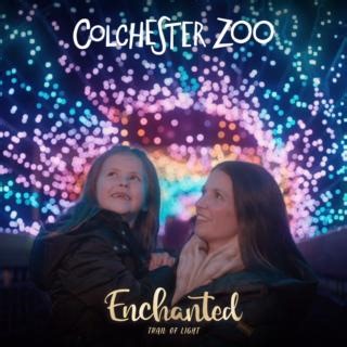 18K views · 68 reactions | Tickets now available for our Enchanted...