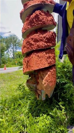 😱 One Second From Disaster! Utility Crew's Close Call #UtilityCrew #CloseCall #Lineman #Construction