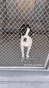 112K views · 6.6K reactions | She’s the sweetest baby. MARTHA...