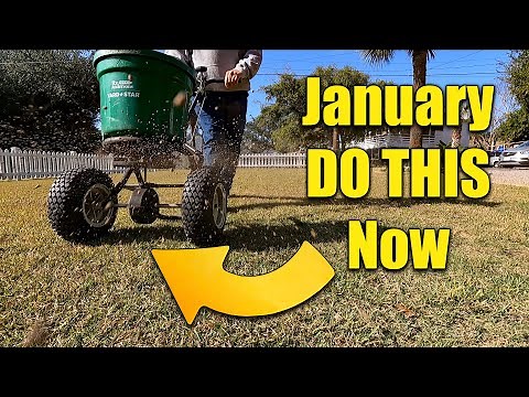 Dormant Lawn Treatments - Winter Lawn Care
