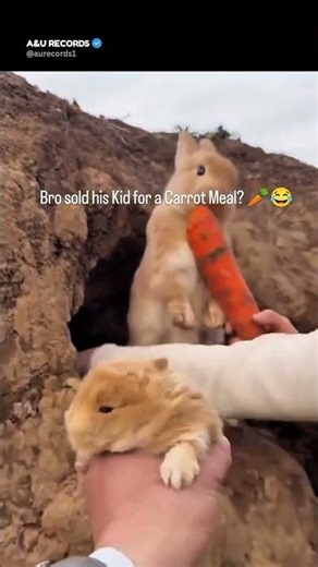 The BEST Funny Moments from 2023