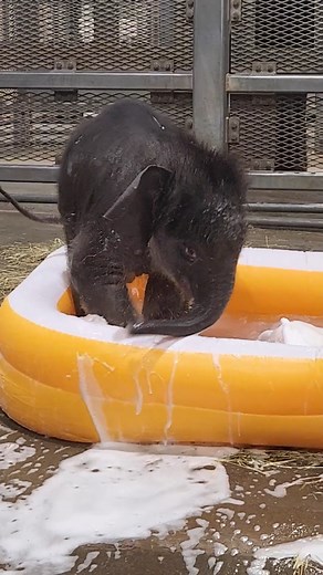 77K views · 776 reactions | #NationalBubbleBathDay throwback with the...