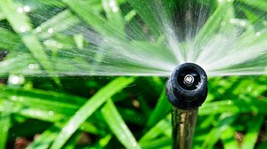 Who are the rich Californians using millions of gallons of water a year? It's a secret