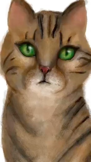 Cat drawing on procreate #art #procreate #cat
