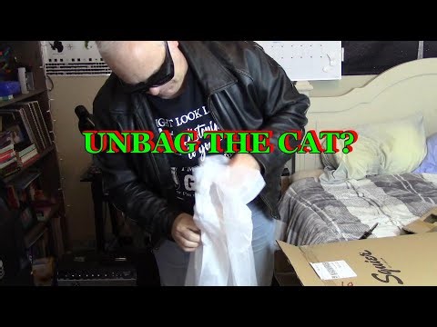 CLASSIC VIBE 70S SQUIER JAGUAR UNBOXING AND DEMO