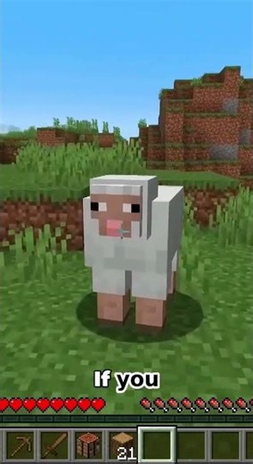 Minecraft Survival Guide: Pro Tips for Hunting and Combat