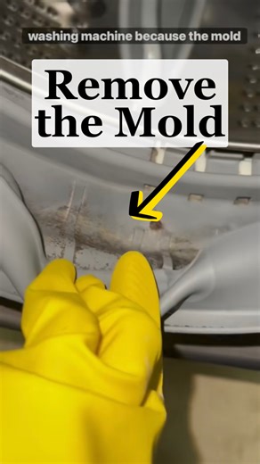 If you have a front-loading washing machine, it is so easy to get mold in the rubber gasket. It's not your fault- it's a design flaw! I tried everything to get rid of the mold, and short of removing the rubber gasket entirely (which I did here: https://youtu.be/oDUmgjkTEUA) the only thing that worked for me was using the Mold Armor spray. *Of course, use any product only after checking your manual, because some products will void your warranty. You can find the spray at home improvement stores, 