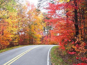 Alabama Gets Gorgeous Fall Color And This Quaint Mountain Town Is The Best Place To See It