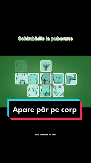 La pubertate și apariția părului pe corp