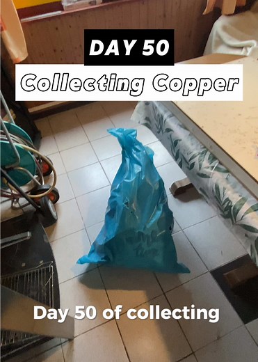 Day 50 collecting copper for a Mac #copper #cuivre #sidehustle #wires #graft