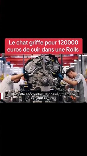 Le chat griffe pour 120000 de cuir dans une rolls #anecdotesautomobiles #cultureluxe #luxury #Shorts