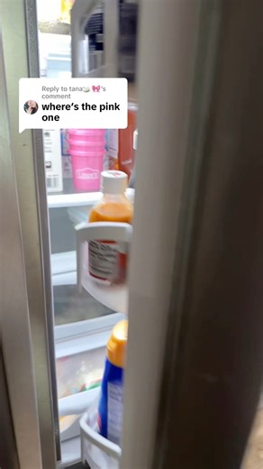 The pink mini buckets Lowe's Home Improvement are so hot right now! #pinkminibucket #lowes #minibucket #trending #viral | Mastering Mayhem