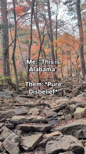 3.1K views · 1.8K reactions | Huntsville Adventurer on Reels | Facebook