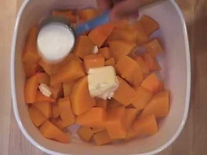 Butternut Squash Puree