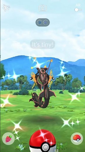 OMG💯Wild Mega Rayquaza Spawn in Pokemon Go