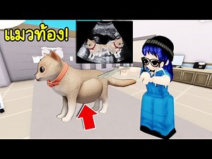 ทำคลอดให้แมว! | Roblox 🐾 PAWS Pet Hospital