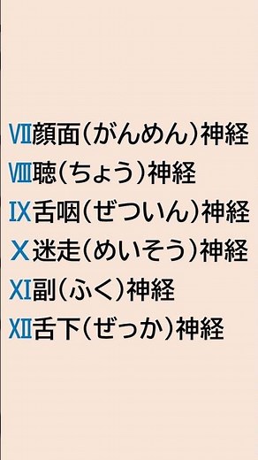 【脳神経12個】これだけで一気に覚える｜国試対策・レオ回