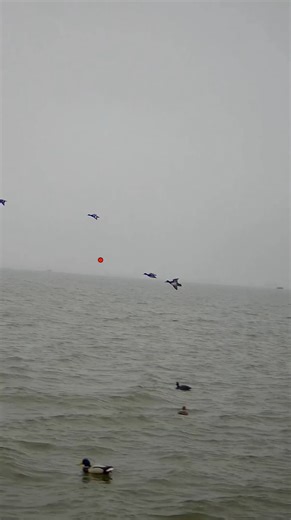 Watch how hard it bounces when hit the water ! #duckhunting #waterfowl #hunting ‪@bossshotshells‬