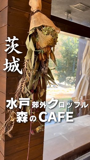 茨城カフェ たく | ◀茨城県のカフェを紹介☕️ @ibaraki.cafe98 こんにちは、たくです🙋‍♂️ 今回は「#アスパイアの森」を紹介します！ ◯紹介するお店について 12月2日にリニューアルオープンしたカフェ！ おすすめはなんといっても、「クロッフル」... | Instagram