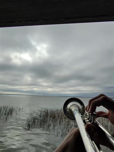 Get morphed #trumpet #javier #bluedevils #bd #metamorph | Trumpet