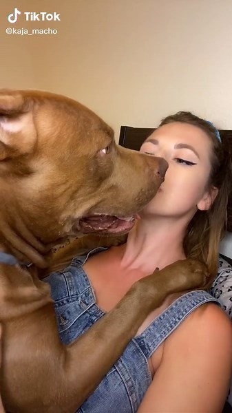 Adorable Dog Kissing Moments with Owner