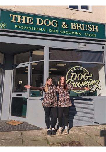 Explore The Dog & Brush Grooming Salon in Surrey!