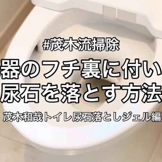 【トイレ掃除】便器のフチ裏に付いた尿石を落とす方法 茂木和哉トイレ尿石落としジェル編【茂木流掃除】