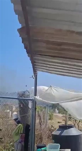Hélicoptères Black Hawk de l'armée mexicaine en action
