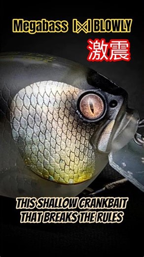 【バス釣り】2025新作 Megabass I☓I BLOWLYの「ヤバい秘密のカラー」とは？