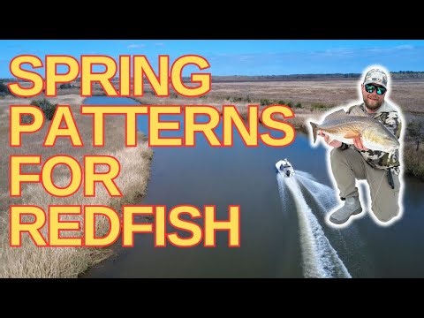 Spring Redfishing-My Go-To Tactics for More Bites (Find Them FAST)