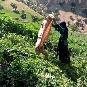 83K views · 2.3K reactions | The life of a lonely nomadic woman | Family Cooking | Facebook