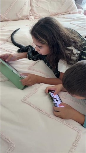 Video games with Megatron! #reptiles #games #morningchill