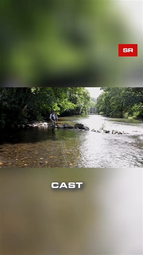 7.7K views · 64 reactions | Perfect the roll cast pickup for a gentle dry fly delivery. This technique gives you more control and accuracy when fishing upstream. Lift slack into your D-loop, then transition seamlessly into an overhead cast. Effective and smooth! #RollCast #DryFlyFishing #FlyFishing #FishingTechniques #UpstreamFishing | Sunray | Facebook