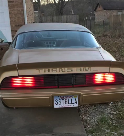 1979 Trans Am WS6 Merry Xmas #pontiac #shorts #transam