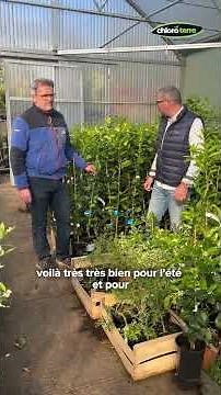 Rencontre avec Daniel - A l'ombre des figuiers