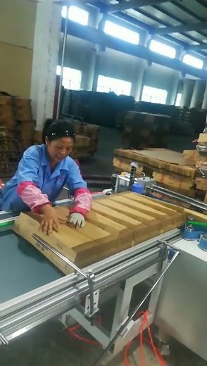 Automatic Stacker for Folder Gluer Machine