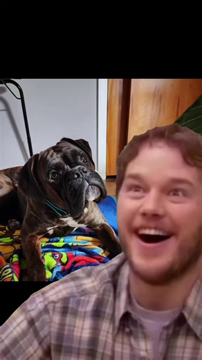 #Meme #MemeCut #CapCut