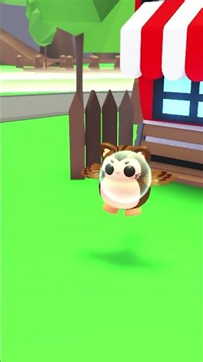 🎁Birthday Magic! 🎁