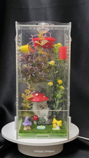 Jumping Spider Enclosure-mushroom & Owl - Etsy