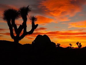 High Desert Eatery Makes Yelp 2025 Top 100 List