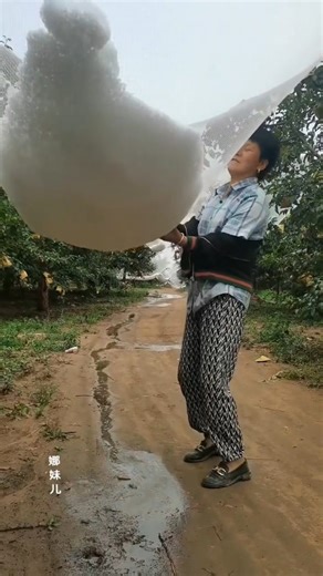 Explore China on Instagram: "Hail protection net."