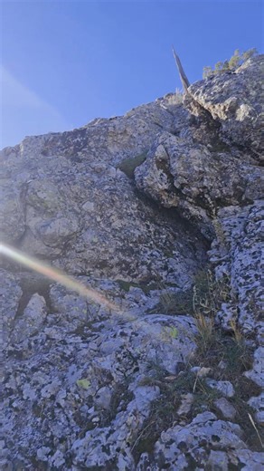 Jacqueline Wells Shutran on Reels