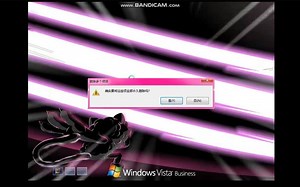 WindowsVista Crazy Error