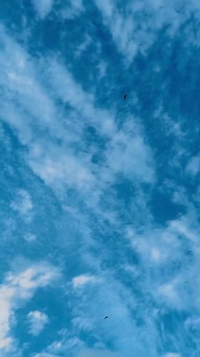 Hebe Tien on Instagram: "連日梅雨，天氣放晴，美景放題，出外踏青。"