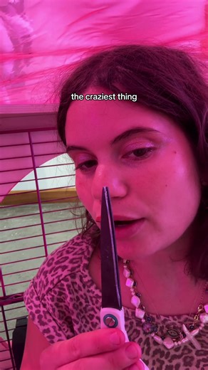 sharing box recaps on ig xoxo